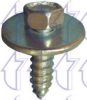 TRICLO 162555 Screw